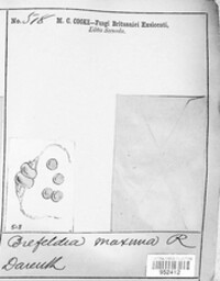 Image Associated With the Occurence